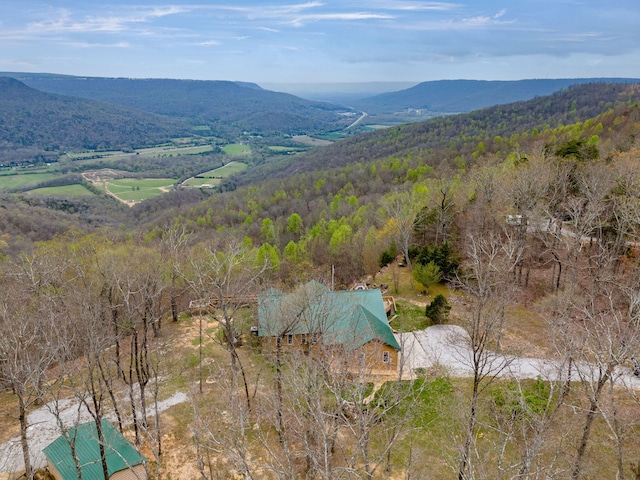 drone / aerial view with a mountain view