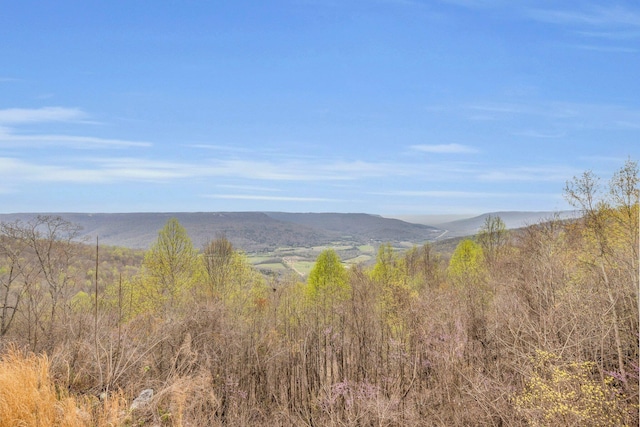 property view of mountains