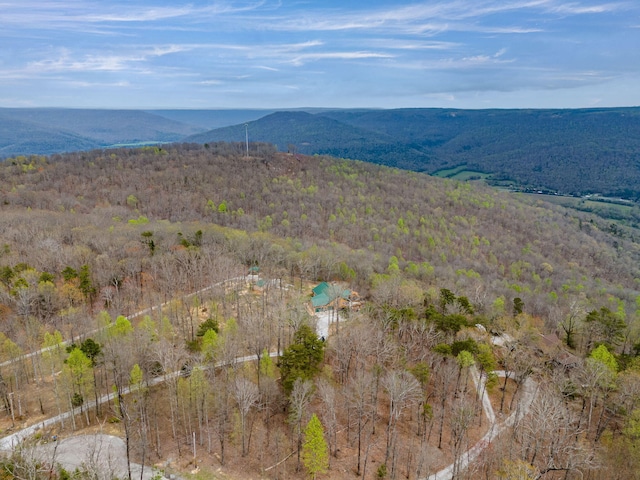 view of mountain feature