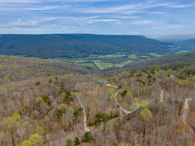 view of mountain feature