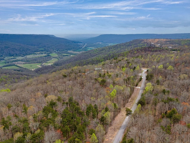 view of mountain feature