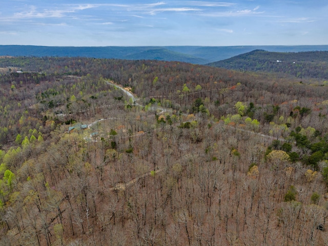 drone / aerial view featuring a mountain view