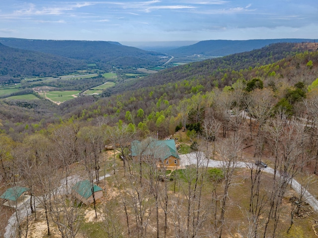 view of mountain feature