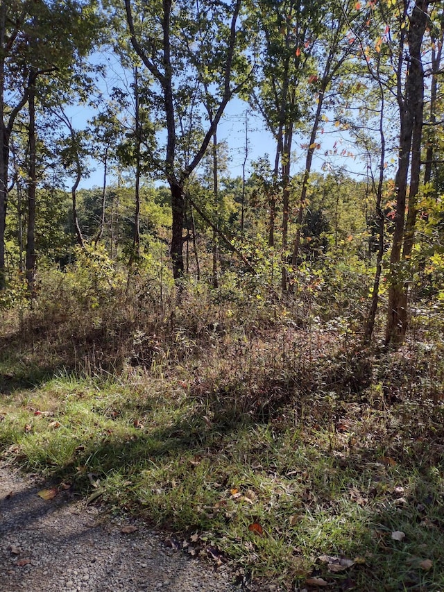 000 Pine Ct Unit 48, Crossville TN, 38572 land for sale