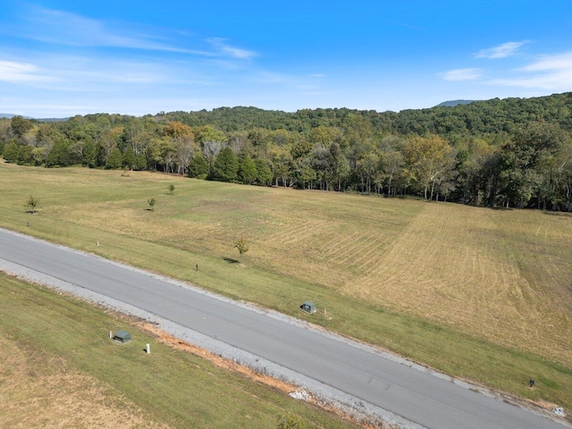 Listing photo 2 for 0 River Ridge Dr Lot 61, Dunlap TN 37327