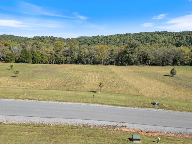 Listing photo 3 for 0 River Ridge Dr Lot 61, Dunlap TN 37327