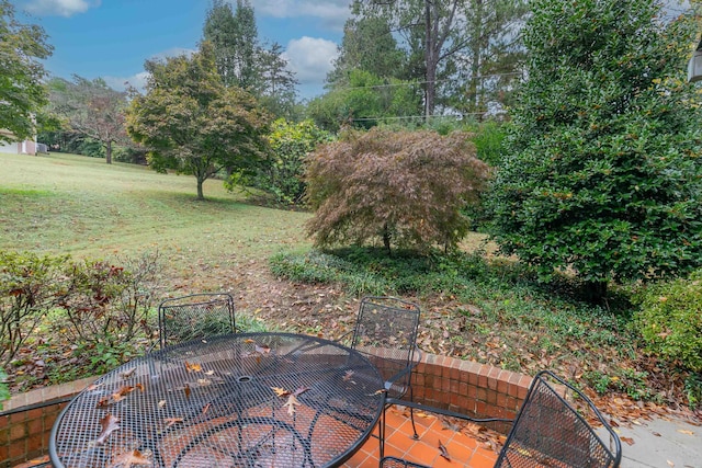 view of yard featuring outdoor dining area