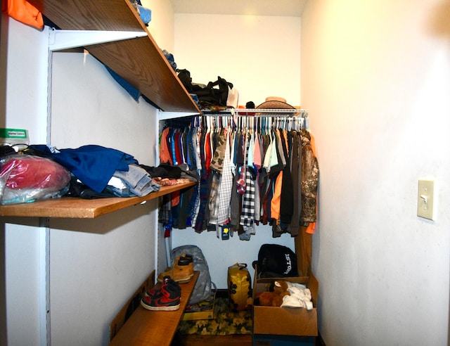 view of spacious closet