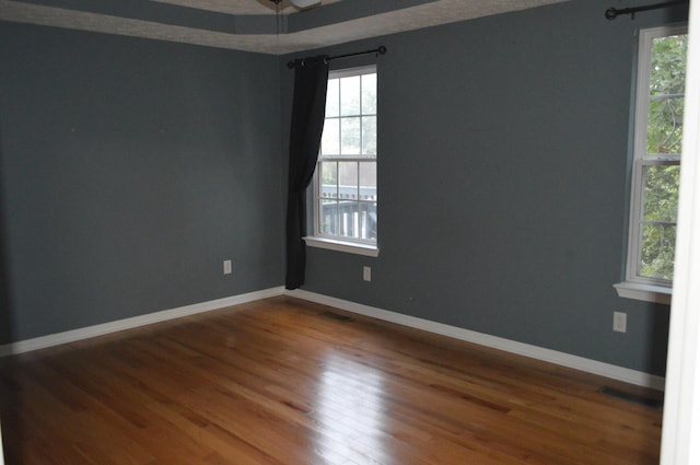 spare room featuring a healthy amount of sunlight and hardwood / wood-style floors