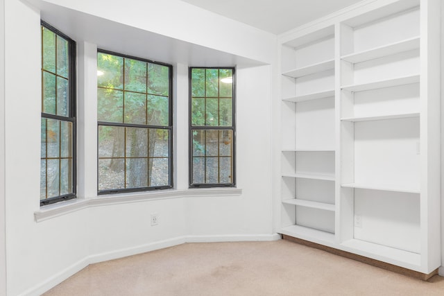 spacious closet featuring light colored carpet