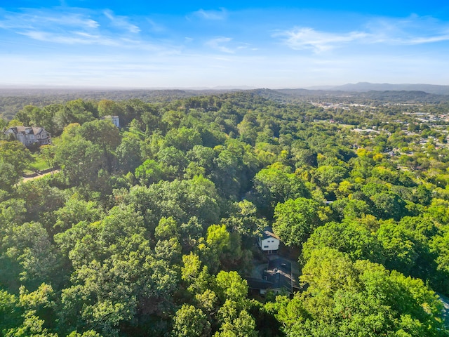 bird's eye view