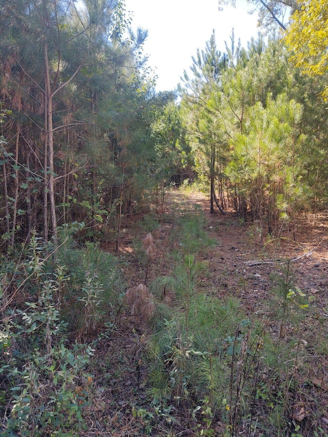 00 Joe Robertson Rd, Rocky Face GA, 30740 land for sale