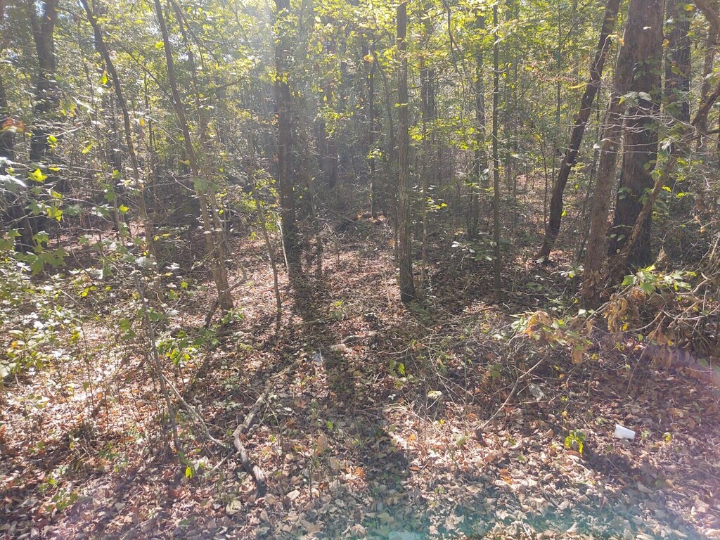 00 Joe Robertson Rd, Rocky Face, GA 30740