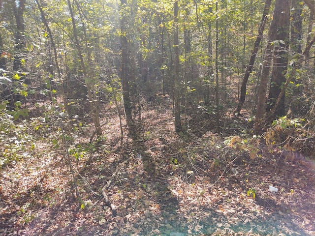 00 Joe Robertson Rd, Rocky Face, GA 30740