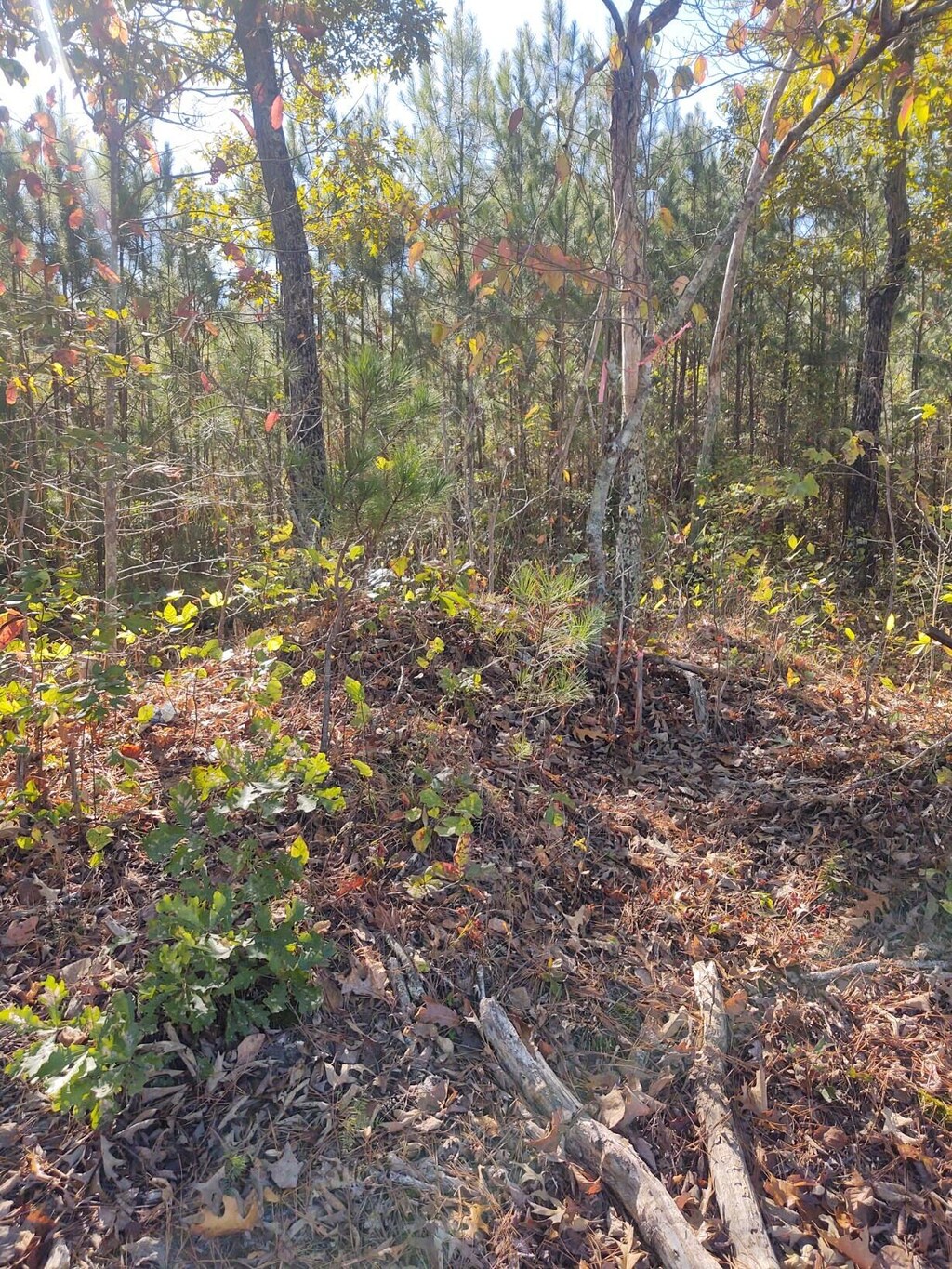 00 Joe Robertson Rd, Rocky Face, GA 30740