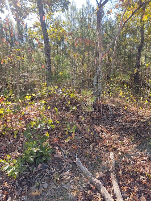 00 Joe Robertson Rd, Rocky Face, GA 30740