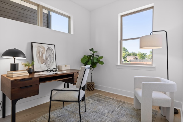 office featuring wood-type flooring