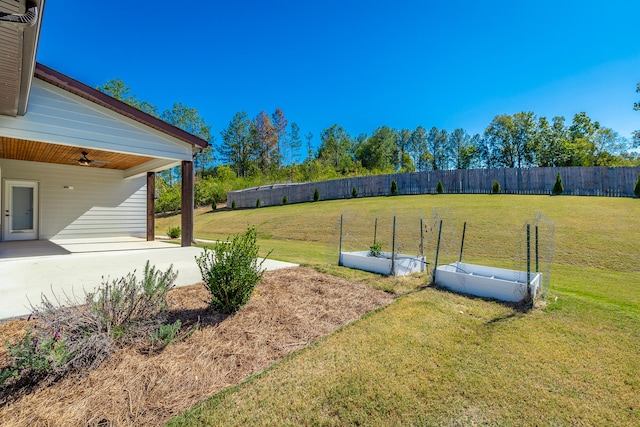 view of yard with a patio and ceiling fan