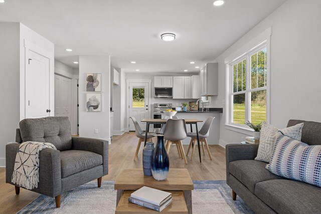 living room with light hardwood / wood-style floors and sink