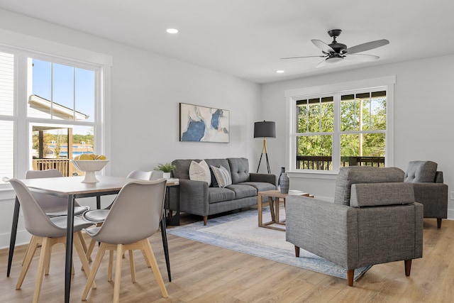 living room featuring ceiling fan and light wood-type flooring