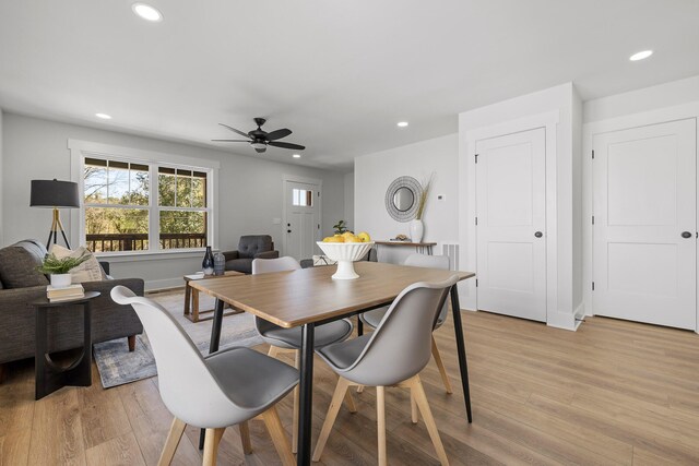 dining area with ceiling fan and light hardwood / wood-style flooring