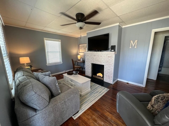 living room with a brick fireplace, ceiling fan, a drop ceiling, dark hardwood / wood-style flooring, and crown molding