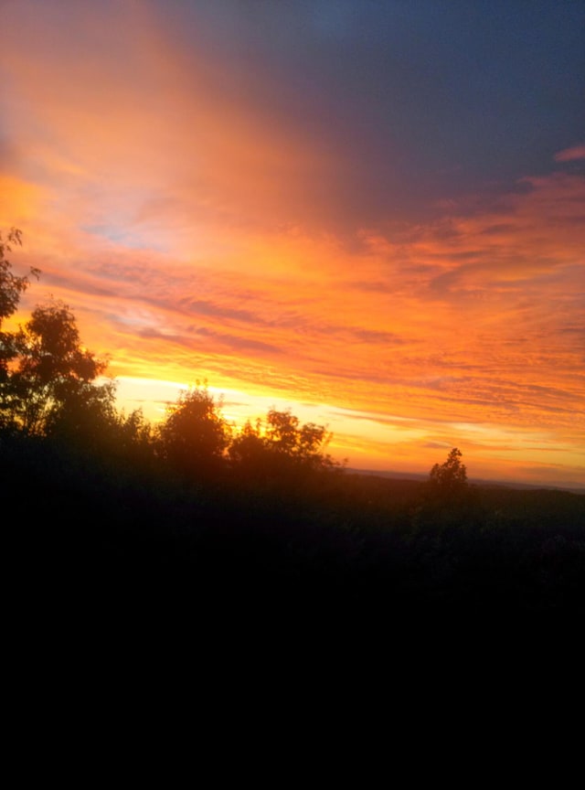 view of nature at dusk