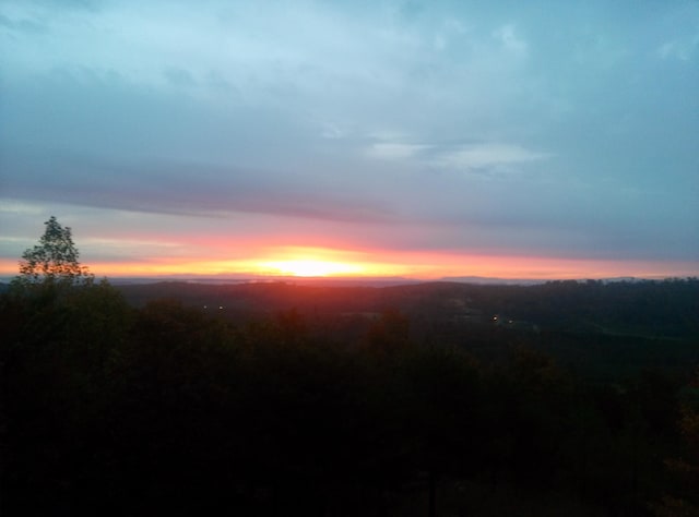 view of nature at dusk