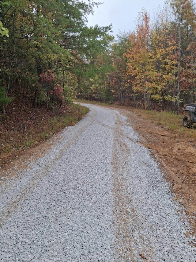 view of road