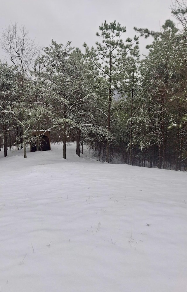 view of yard covered in snow