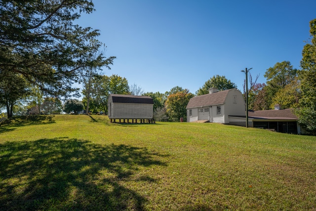 view of yard with a storage shed