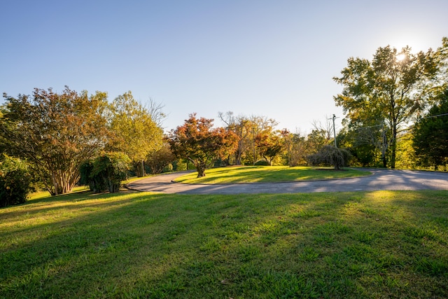 view of community with a yard