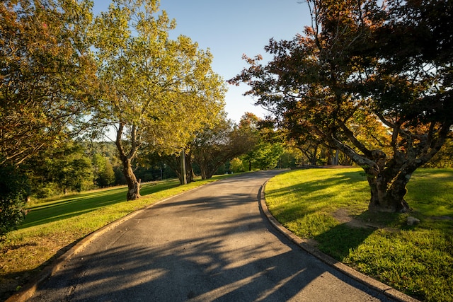 view of home's community with a lawn