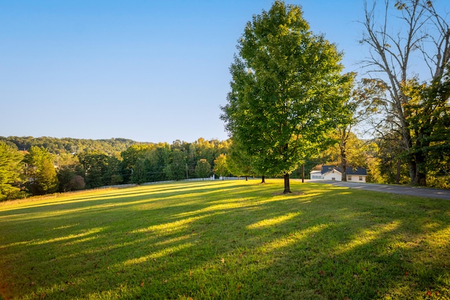 view of community featuring a yard