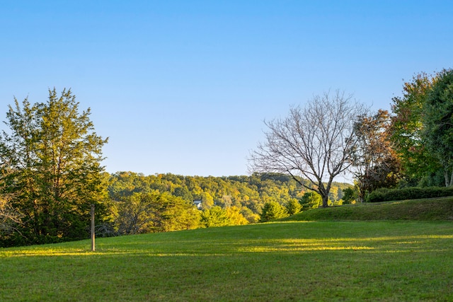 view of home's community featuring a lawn