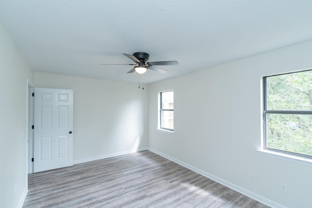 empty room with plenty of natural light and light wood-type flooring