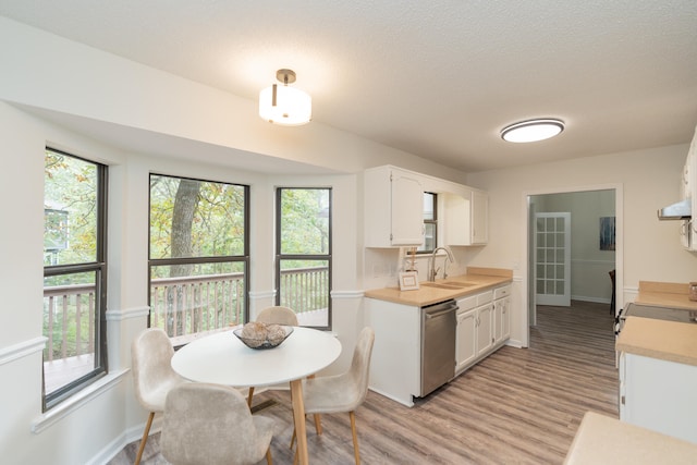 kitchen with white cabinetry, stainless steel dishwasher, sink, and a wealth of natural light