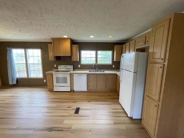 kitchen with a healthy amount of sunlight, a textured ceiling, light wood-type flooring, and white appliances