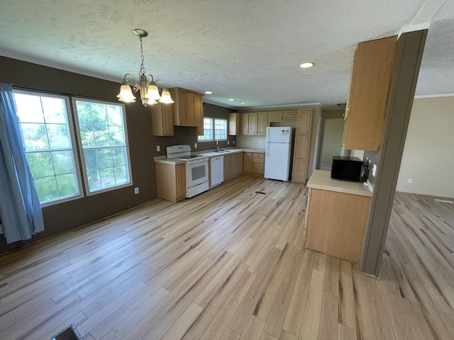 kitchen with a wealth of natural light, sink, light hardwood / wood-style flooring, and white appliances