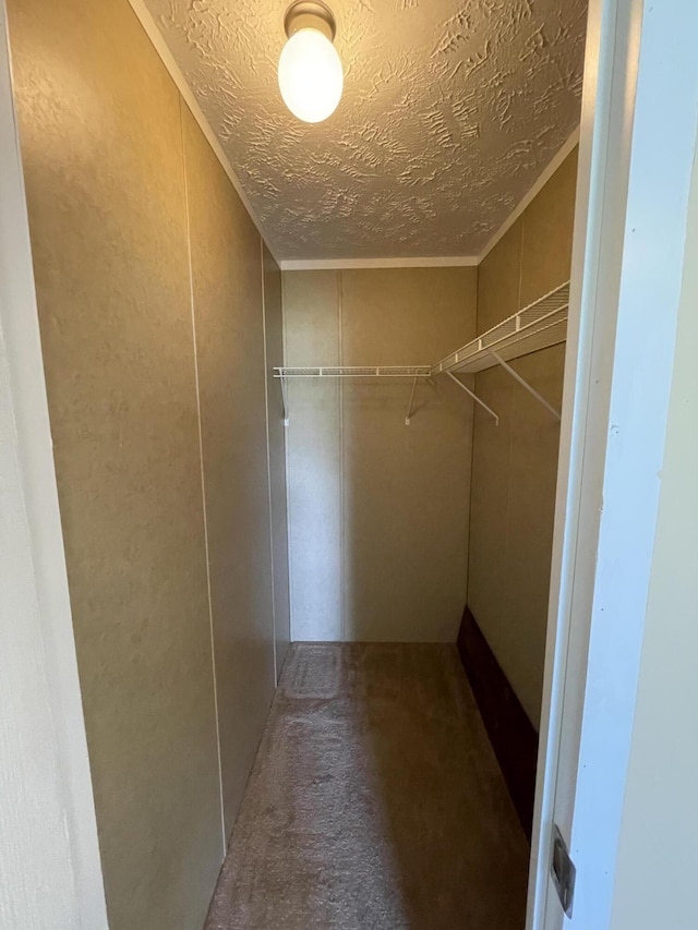 walk in closet with carpet and vaulted ceiling