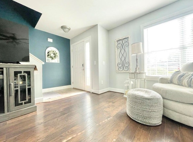 interior space with wood-type flooring