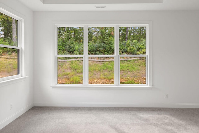 unfurnished room featuring carpet