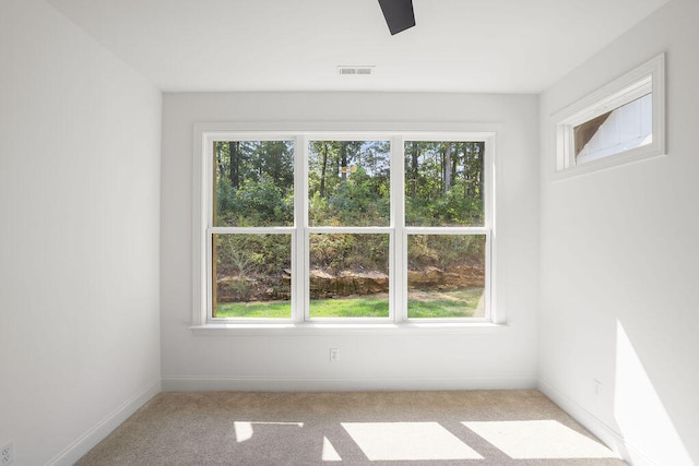 empty room featuring light colored carpet and a wealth of natural light