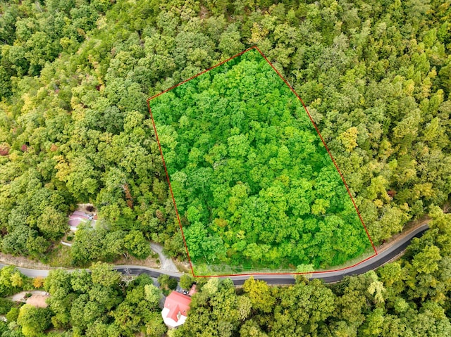 2365 Bluff Mountain Rd, Sevierville TN, 37876 land for sale