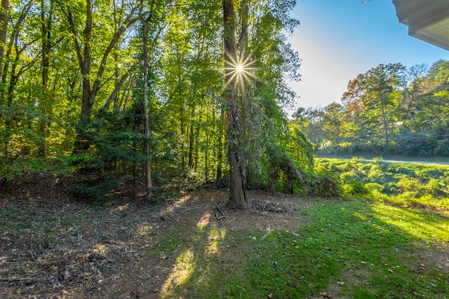 view of nature