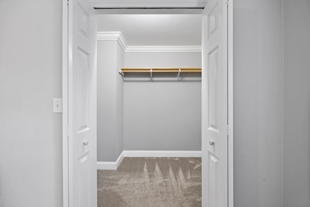 spacious closet with carpet floors