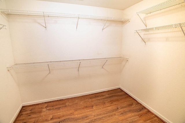 walk in closet with wood-type flooring