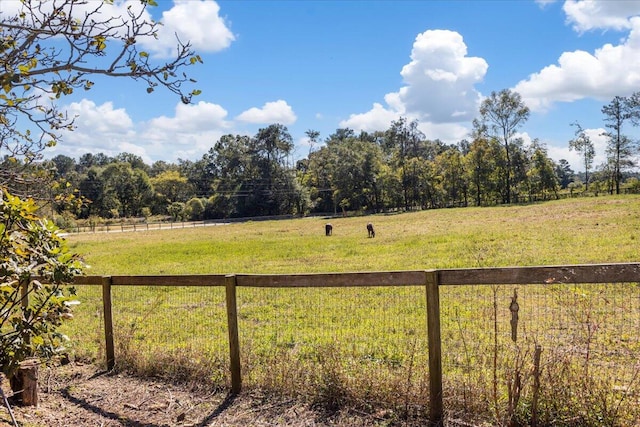 view of yard with a rural view