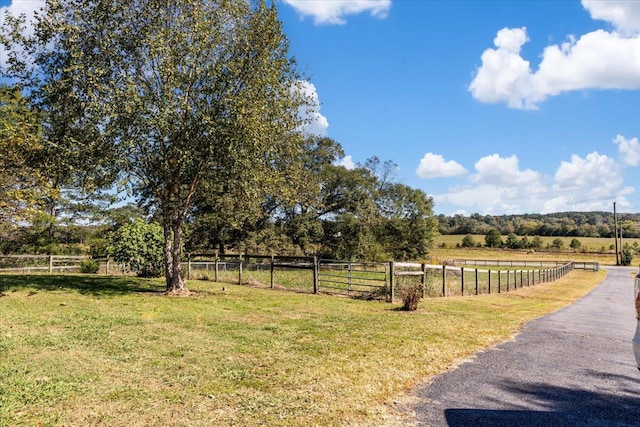 view of yard with a rural view