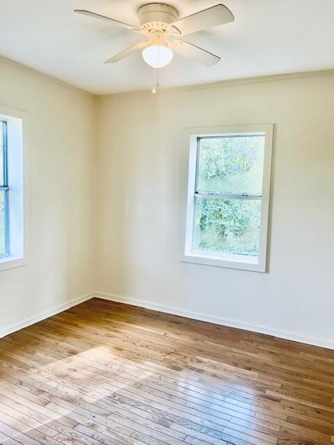 unfurnished room with light hardwood / wood-style floors, crown molding, plenty of natural light, and ceiling fan